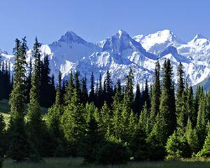 《中华人民共和国森林法实施条例》2018年3月第三次修订版