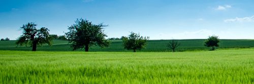 转载：律师视角下的企业刑事合规业务开展