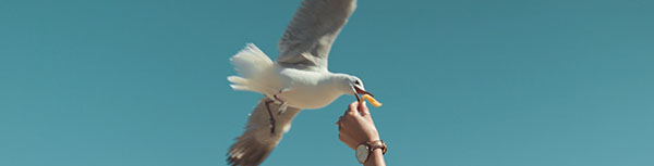 我们天真地认作过去那些东西,很可能是相当晚近的发明