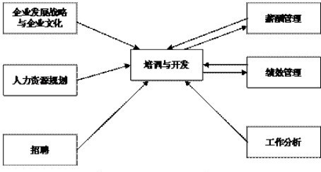 企业培训与开发类别及优劣势对比分析