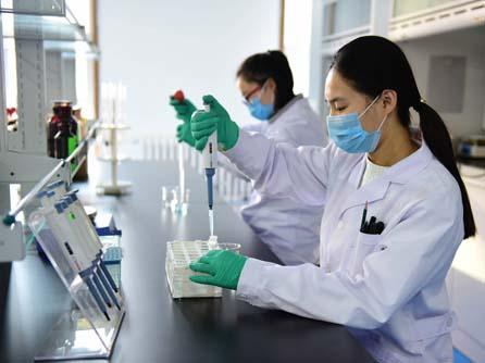 湖南省关于开展小微企业质量管理体系认证提升行动的通知（湘市监认〔2023〕29号）