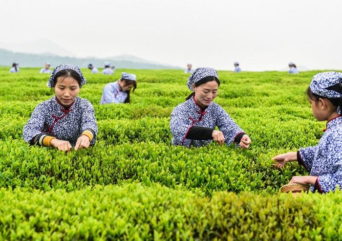 农业农村部、江西省联合印发方案部署共建江西绿色有机农产品基地试点省