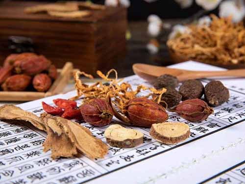 中医药传承创新发展示范试点项目实施方案编制提纲（财办社〔2023〕14号）