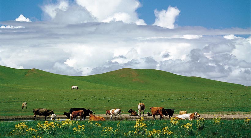 农业农村部网站：农业农村部部署2022年渔业渔政工作