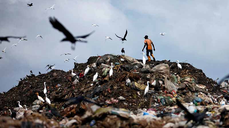 天津日报：天津完善塑料污染全链条治理体系