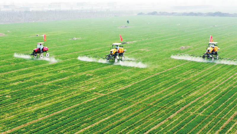 中央财政下达资金200亿元 再次对实际种粮农民发放一次性补贴