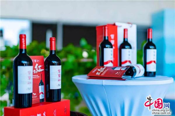 宁夏日报：宁夏12条措施加快发展外贸新业态新模式