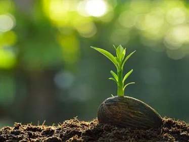 《土壤污染防治资金管理办法》财资环〔2022〕28号