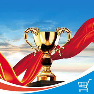 《制造业单项冠军企业认定管理办法》工信部政法〔2023〕138号