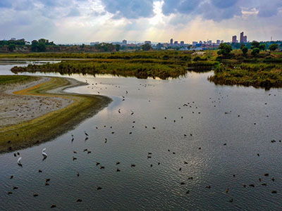 水利部办公厅关于强化流域水资源统一管理工作的意见（办资管〔2022〕251号）
