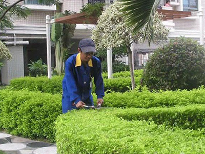 园林绿化工L国家职业技能标准（2022年版）