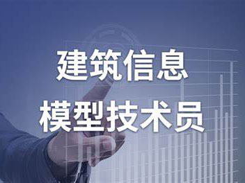 建筑信息模型（BIM）技术员L国家职业技能标准（2021年版）