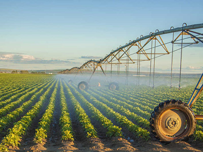 农业农村部办公厅关于开展“千员带万社”行动的通知（农办经〔2023〕4号）