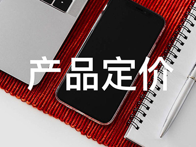 产品定价策略及价格变更实施指南