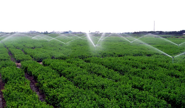 中药材种植选址指导原则（T/GDATCM 0004-2021）