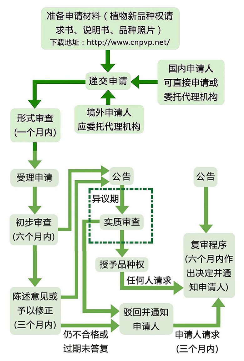 《林草植物新品种权申请审批规则》自2020年1月1日起实施