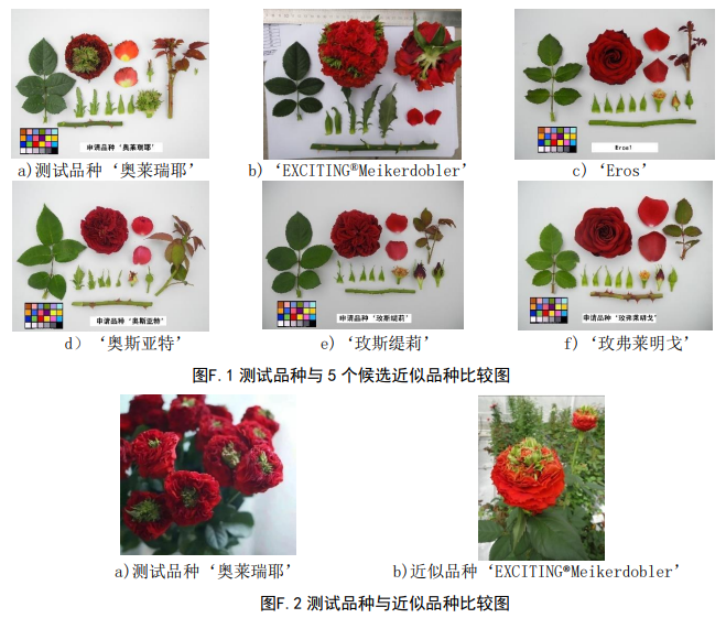 植物新品种 近似品种筛选指南（2023-02-22）