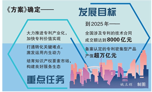 到2025年，推动一批高价值专利实现产业化，全国涉及专利的技术合同成交额达到8000亿元