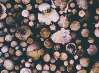 文章内添加隐藏内容-支付积分/费用可见