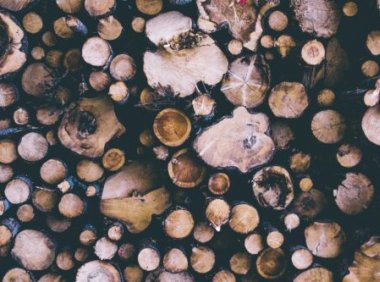 文章内添加隐藏内容-支付积分/费用可见