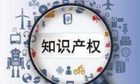 浙江省从事知识产权检验检测工作规范指引、从事知识产权鉴定工作规范指引（2024- 05- 31）