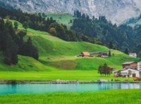 国内商标注册申请须知