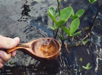 有机产品、有机食品、绿色食品、无公害食品有什么区别？