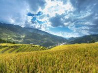 什么是商标争议行政复议,商标注册程序性争议行政复议申请所需材料