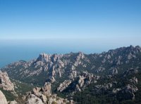 商标续展注册申请书（官方原版）