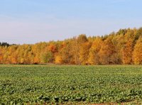 无公害农产品管理办法