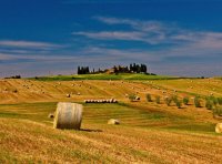 《绿色产品认证实施规则》—纸和纸制品（文件下载）