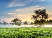 补发或换发软件著作权登记证书所需文件清单