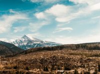 如何申请马德里国际商标注册证明