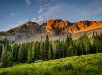 登记机关撤销著作权质权登记的情形有哪些?