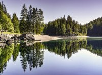 马德里商标国际注册实施办法