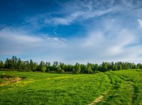 国际注册商标的权利日期及权利状态的判定