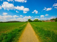 《地理标志专用标志使用管理办法(试行)》国家知识产权局公告 第354号