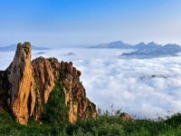 地理标志商标注册申请15问