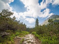 软件著作权质权登记申请表及其填表说明