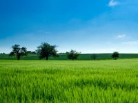 中小企业在实施ISO22000食品安全管理体系认证中常见问题及其对应措施