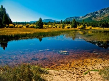 地理标志产品专用标志使用申请书（官方原版）