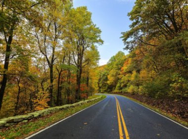 国家知识产权局关于调整商标缴费流程相关事项的公告