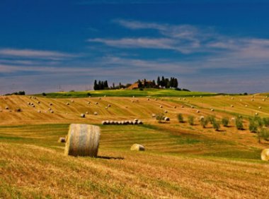 《绿色产品认证实施规则》—纸和纸制品(文件下载)