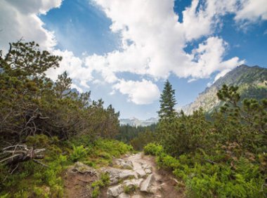 软件著作权质权登记申请表及其填表说明