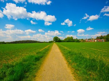 《地理标志专用标志使用管理办法（试行）》国家知识产权局公告 第354号