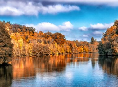 商标质权登记事项变更申请书（官方原版）