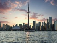 商标注册评审、撤销、驳回、行政复议等相关文书下载