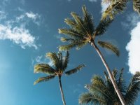 商标异议申请审批指南