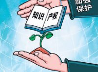 《关于加强协作配合强化知识产权保护的意见》(国知发保字〔2021〕12号)