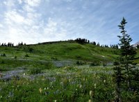 关于ISO14064-1:2018和ISO14064-2:2019温室气体相关标准换版的认可转换说明